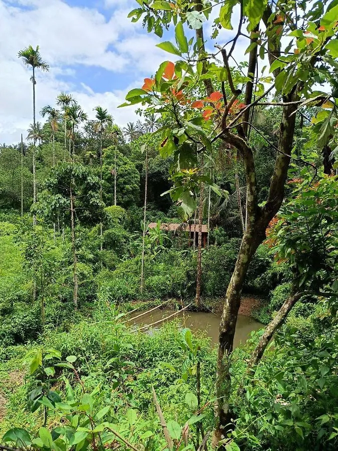 Casita Greenacres Homestay Vythiri 0*,