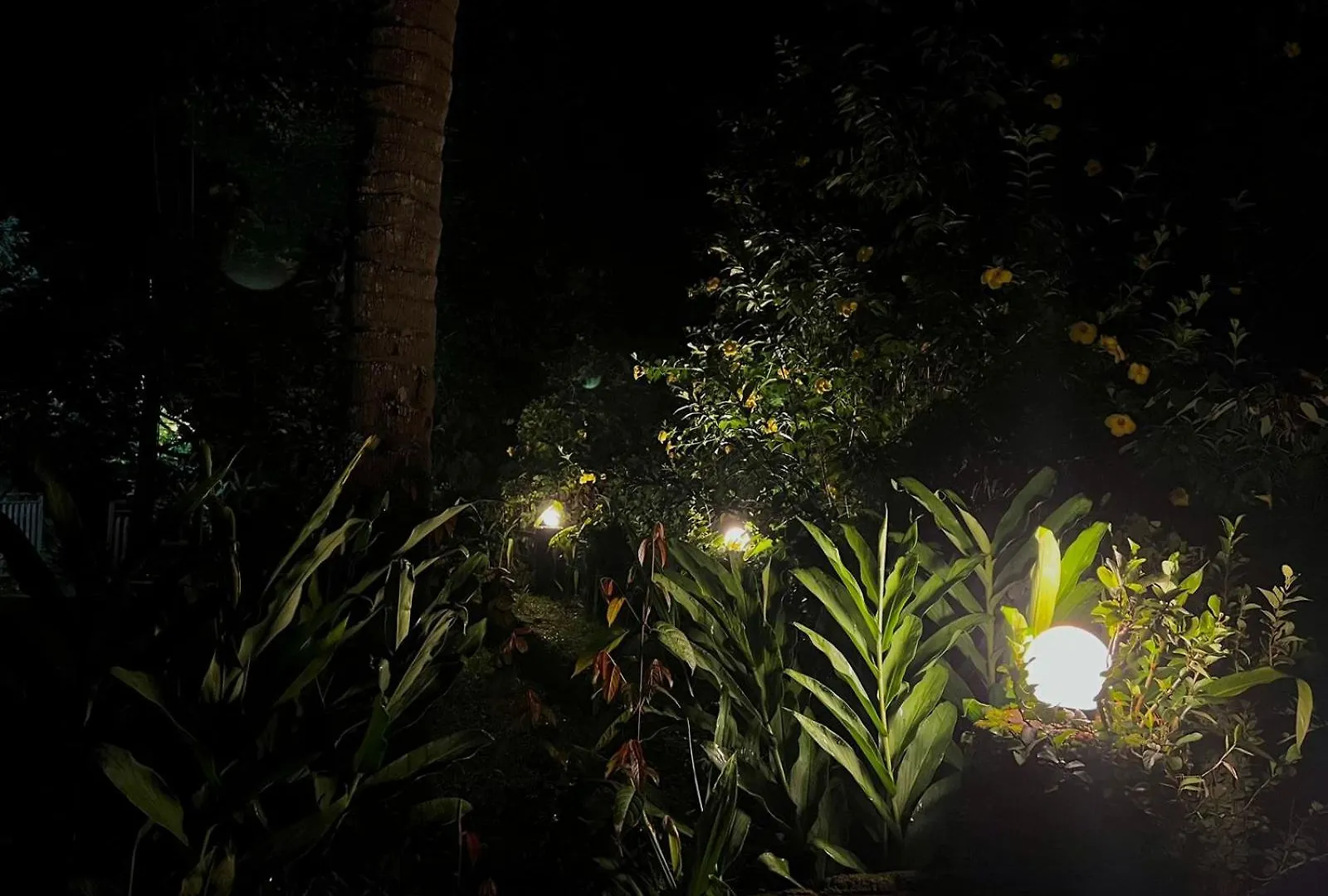 Villa Casita Greenacres Homestay Vythiri India
