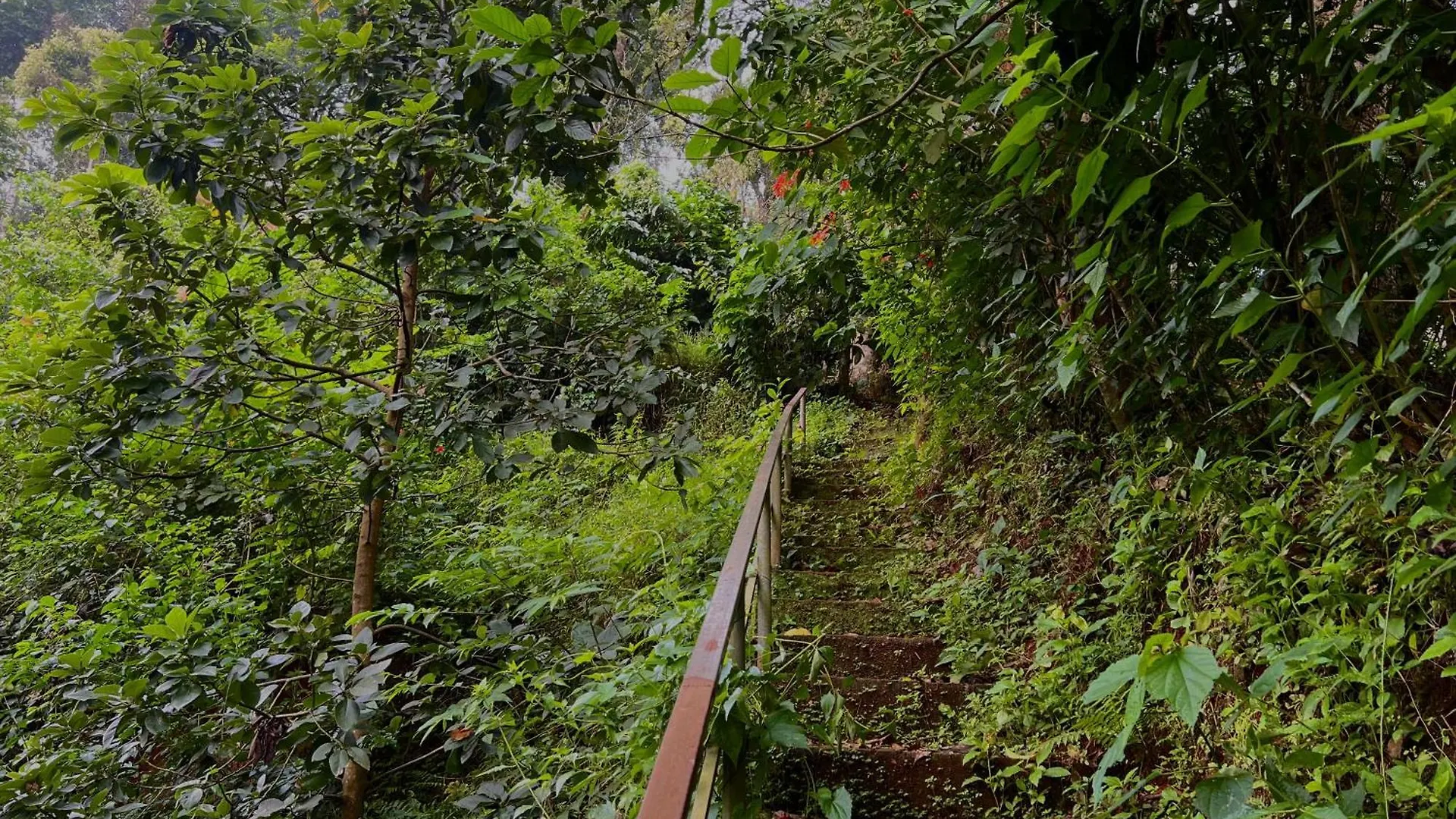 Casita Greenacres Homestay Vythiri 0*,  India
