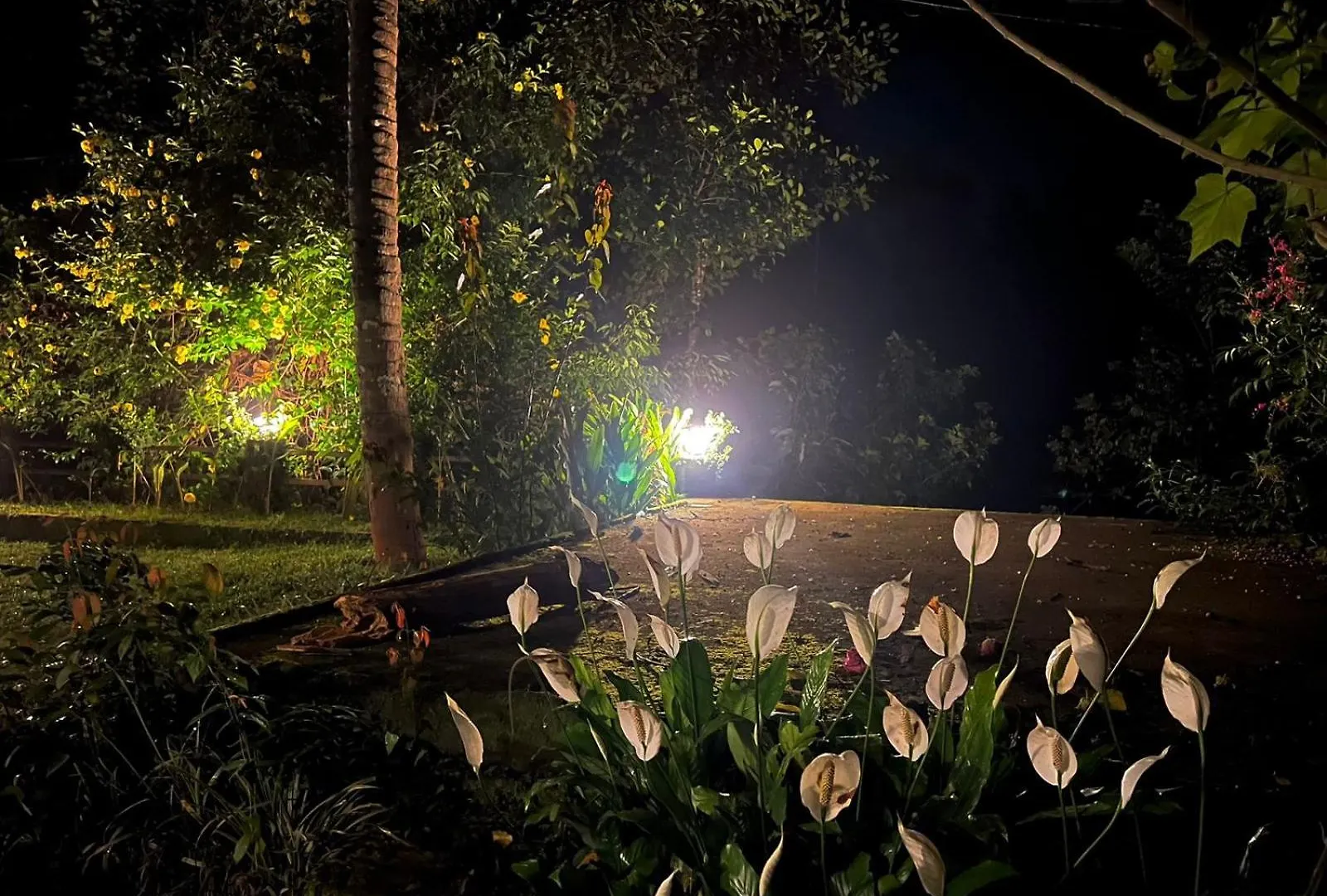 Casita Greenacres Homestay Vythiri