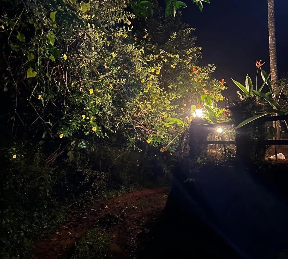 Casita Greenacres Homestay Vythiri